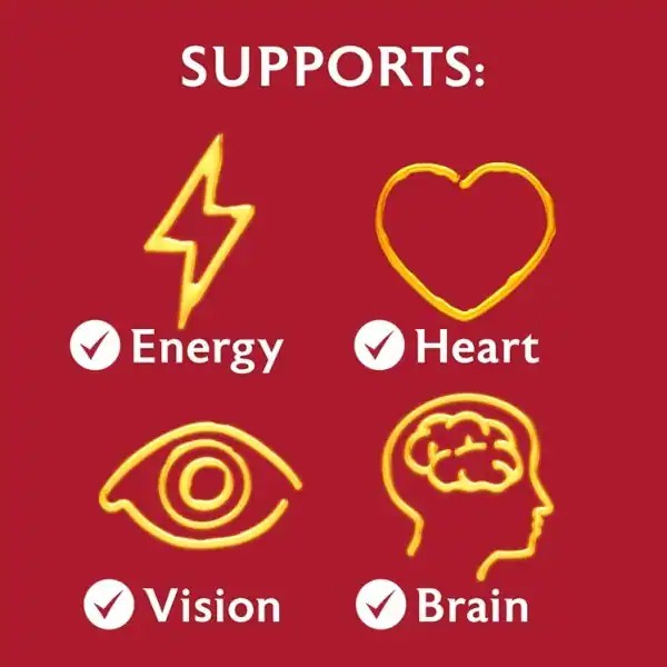 Seven Seas Cod Liver Oil - Plus Multivitamins (30/90 Capsules) - from Seven Seas UK